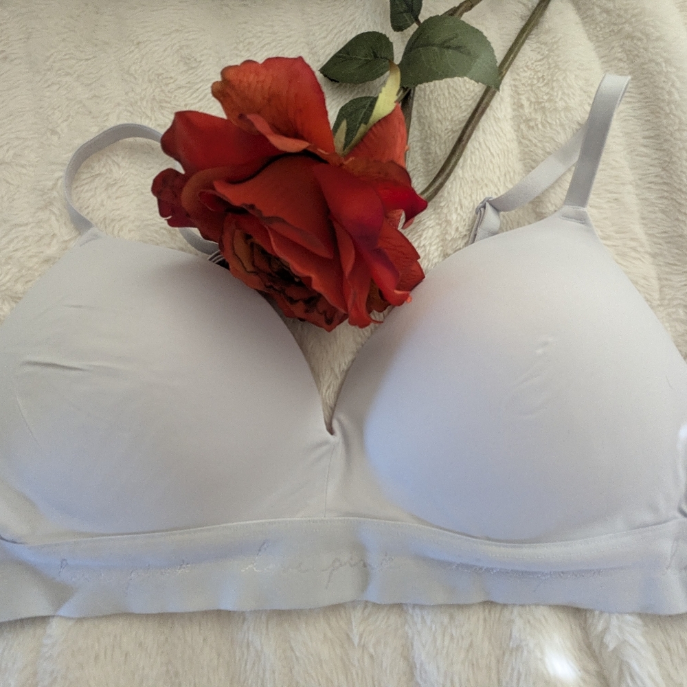 Victoria's Secret Light Gray/💙 Bra